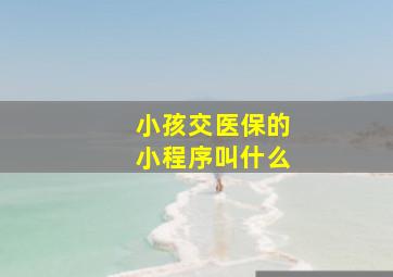 小孩交医保的小程序叫什么