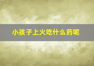 小孩子上火吃什么药呢