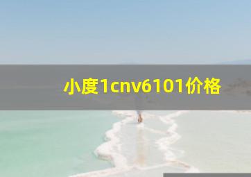 小度1cnv6101价格