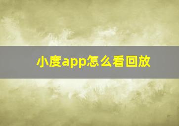 小度app怎么看回放