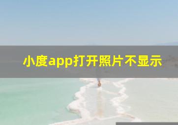 小度app打开照片不显示