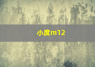 小度m12