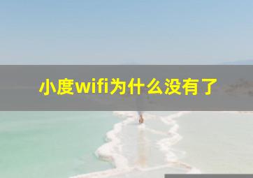 小度wifi为什么没有了