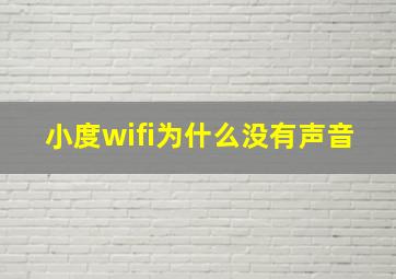 小度wifi为什么没有声音