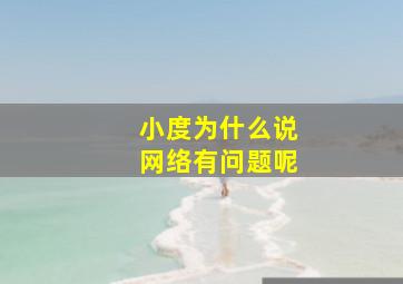 小度为什么说网络有问题呢