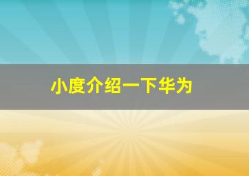 小度介绍一下华为