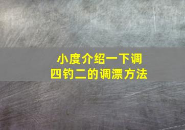 小度介绍一下调四钓二的调漂方法