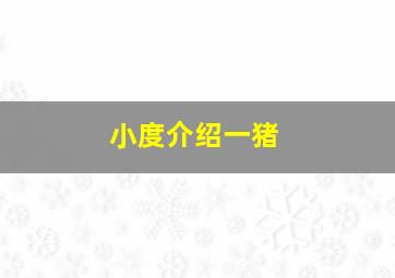 小度介绍一猪