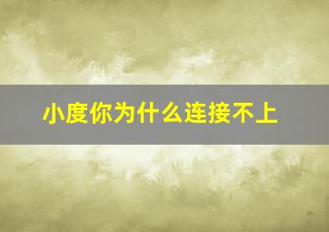 小度你为什么连接不上