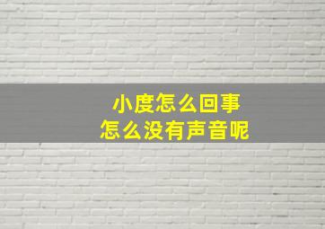 小度怎么回事怎么没有声音呢