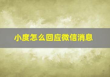 小度怎么回应微信消息