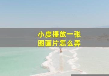 小度播放一张图画片怎么弄