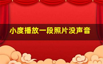 小度播放一段照片没声音