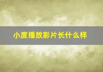 小度播放影片长什么样