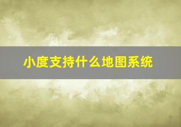 小度支持什么地图系统