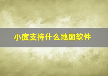 小度支持什么地图软件