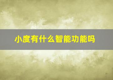 小度有什么智能功能吗