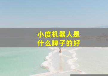 小度机器人是什么牌子的好