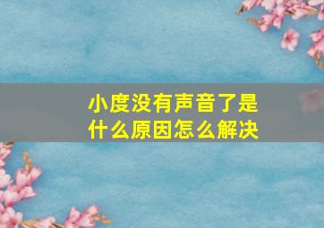 小度没有声音了是什么原因怎么解决