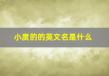 小度的的英文名是什么