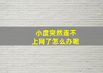 小度突然连不上网了怎么办呢