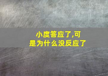 小度答应了,可是为什么没反应了