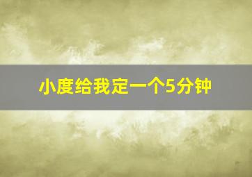 小度给我定一个5分钟