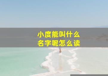 小度能叫什么名字呢怎么读