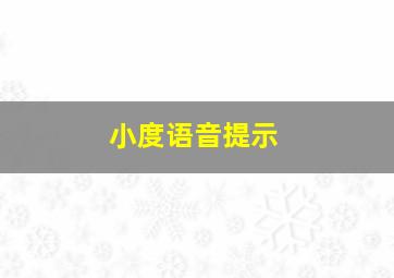 小度语音提示