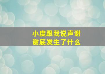 小度跟我说声谢谢底发生了什么