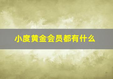 小度黄金会员都有什么