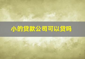 小的贷款公司可以贷吗