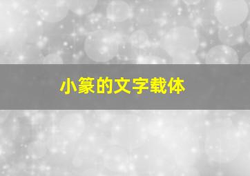 小篆的文字载体