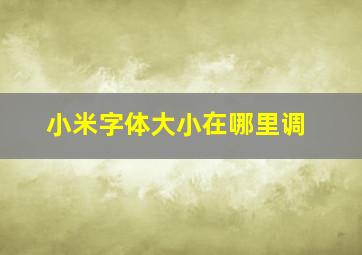 小米字体大小在哪里调