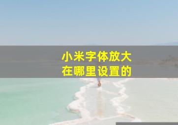 小米字体放大在哪里设置的