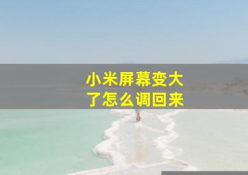 小米屏幕变大了怎么调回来