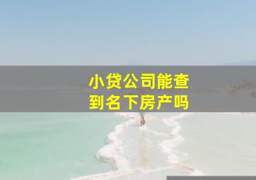 小贷公司能查到名下房产吗