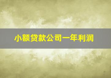 小额贷款公司一年利润