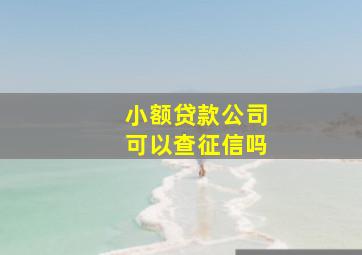 小额贷款公司可以查征信吗