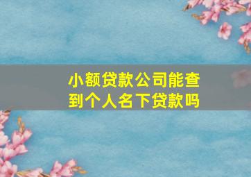 小额贷款公司能查到个人名下贷款吗