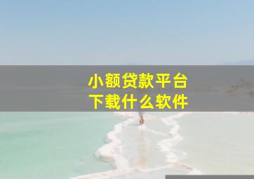 小额贷款平台下载什么软件