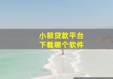 小额贷款平台下载哪个软件