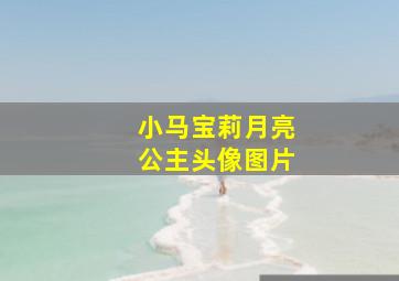 小马宝莉月亮公主头像图片