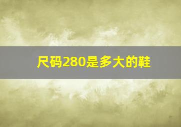 尺码280是多大的鞋