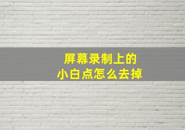 屏幕录制上的小白点怎么去掉