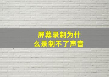 屏幕录制为什么录制不了声音