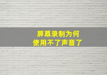 屏幕录制为何使用不了声音了