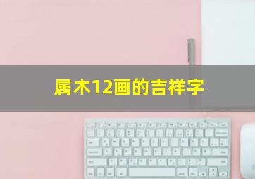 属木12画的吉祥字