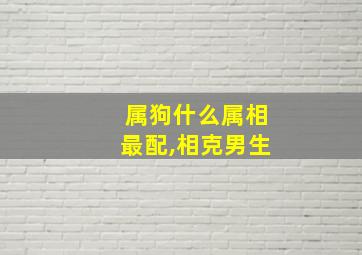 属狗什么属相最配,相克男生