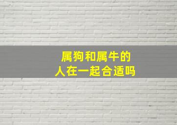 属狗和属牛的人在一起合适吗